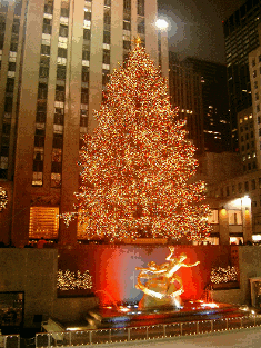 a Christmas tree at the Rockefeller Centre, New York